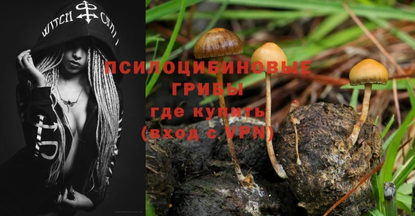 мяу мяу мука Абинск
