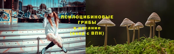 наркотики Алексин