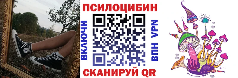цена Кострома Псилоцибиновые грибы Magic Shrooms